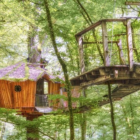 L'Arbre A Cabane Guyonvelle Luaran gambar