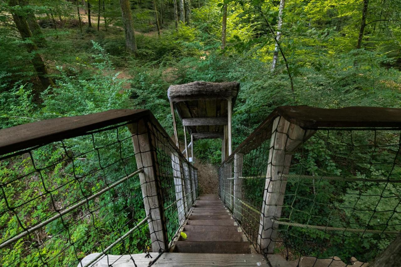 L'Arbre A Cabane Guyonvelle Luaran gambar