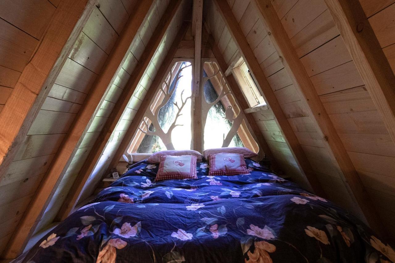 L'Arbre A Cabane Guyonvelle Luaran gambar