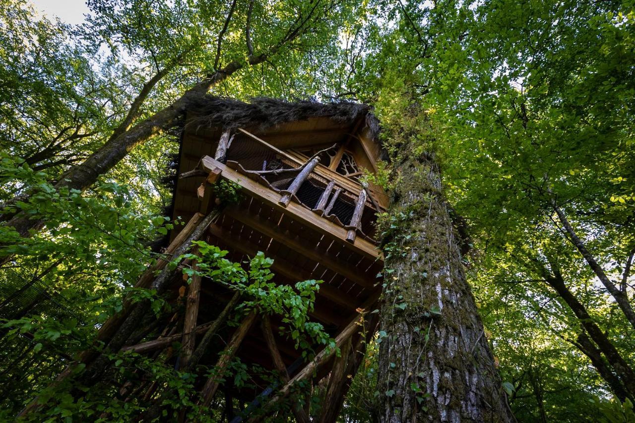 L'Arbre A Cabane Guyonvelle Luaran gambar