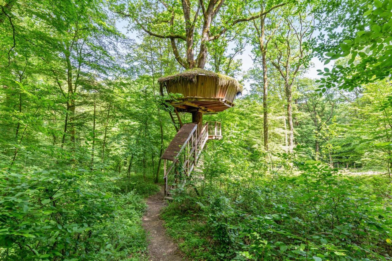 L'Arbre A Cabane Guyonvelle Luaran gambar