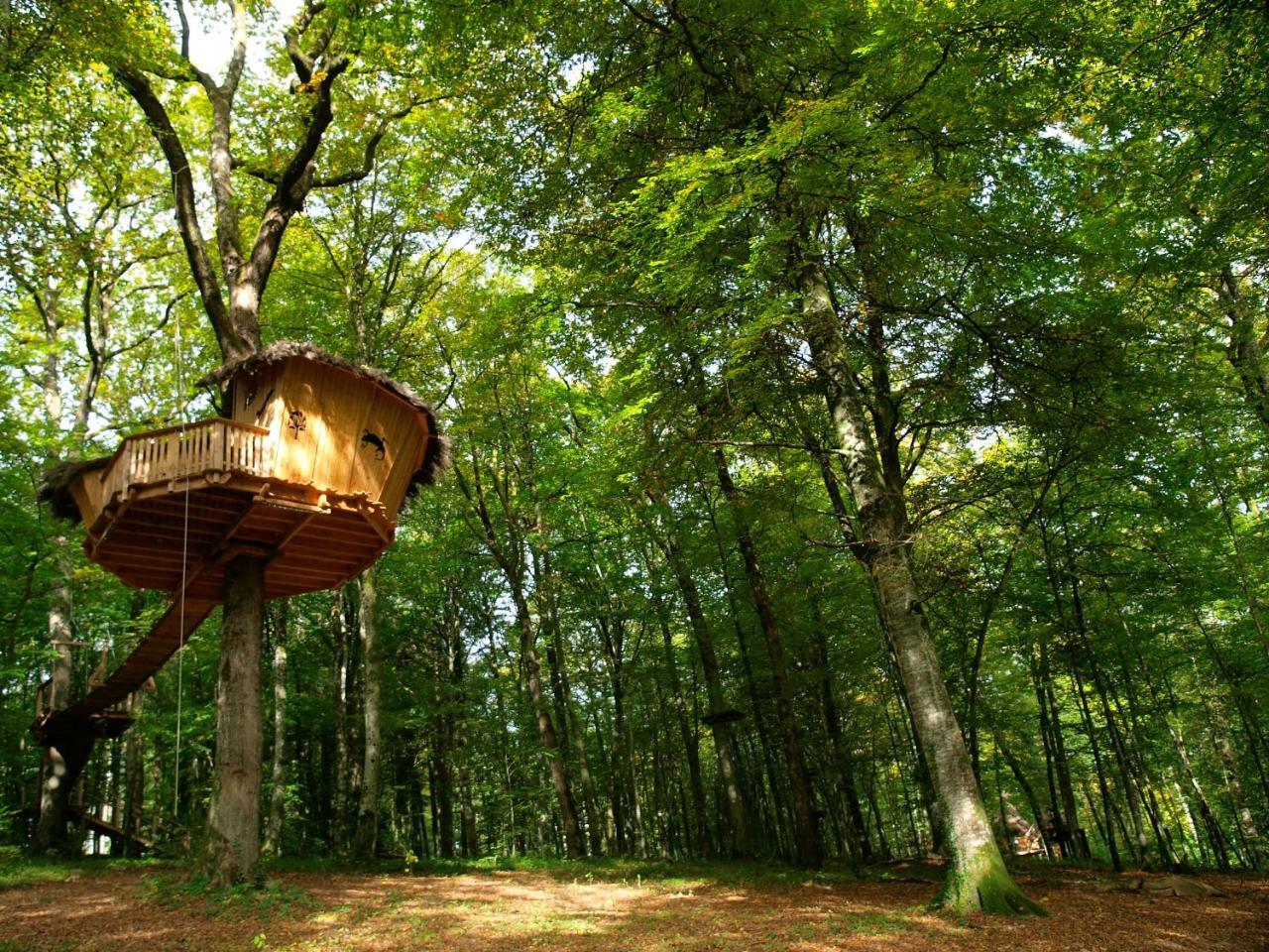 L'Arbre A Cabane Guyonvelle Luaran gambar