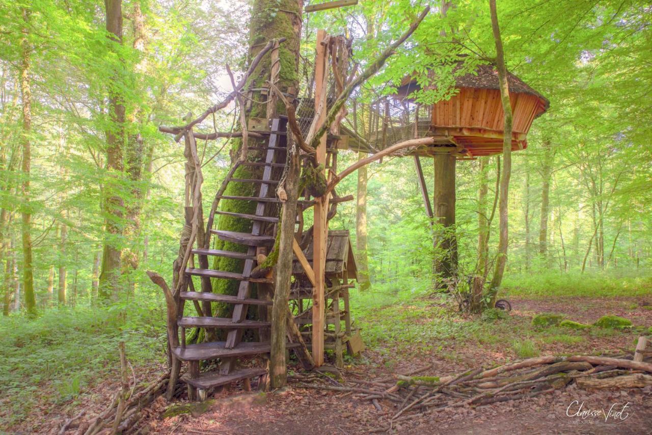 L'Arbre A Cabane Guyonvelle Luaran gambar