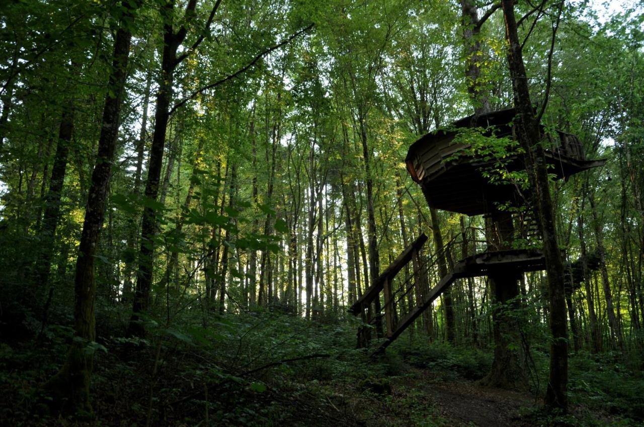 L'Arbre A Cabane Guyonvelle Luaran gambar