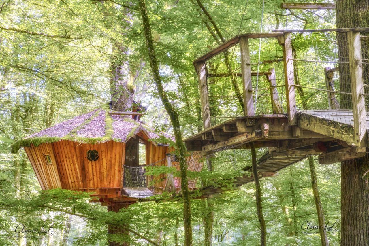 L'Arbre A Cabane Guyonvelle Luaran gambar