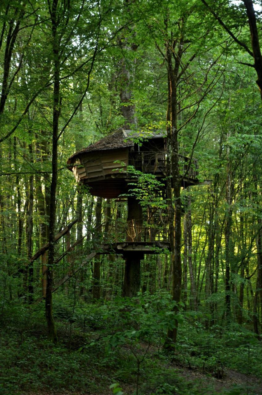 L'Arbre A Cabane Guyonvelle Luaran gambar